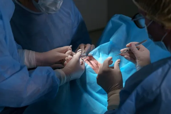 Professional plastic surgery, several surgeons in one operation